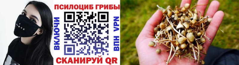 Галлюциногенные грибы Cubensis  Похвистнево 
